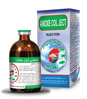 AMOXYCOL JECT