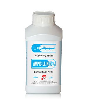 AMPICILLIN 50%