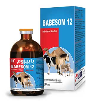 BABESOM 12