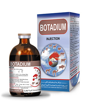 BUTADIUM