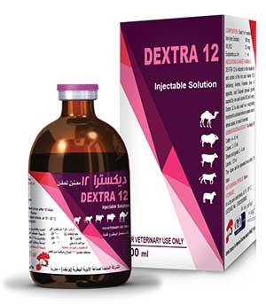 DEXTRA 12