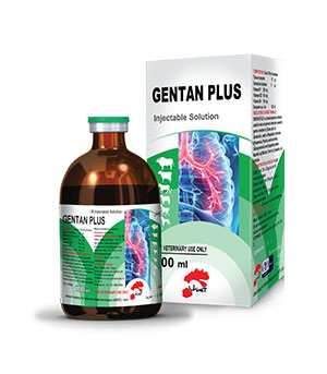 GENTAN PLUS