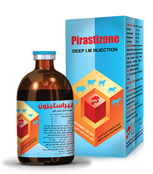 PIRASTIZONE