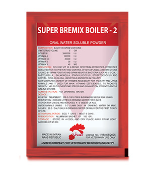 SUPER BREMIX BOILER -2