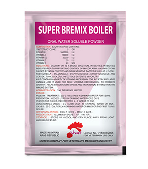 SUPER BREMIX BOILER